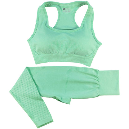 2-Piece Women's Seamless Yoga & Gym Set