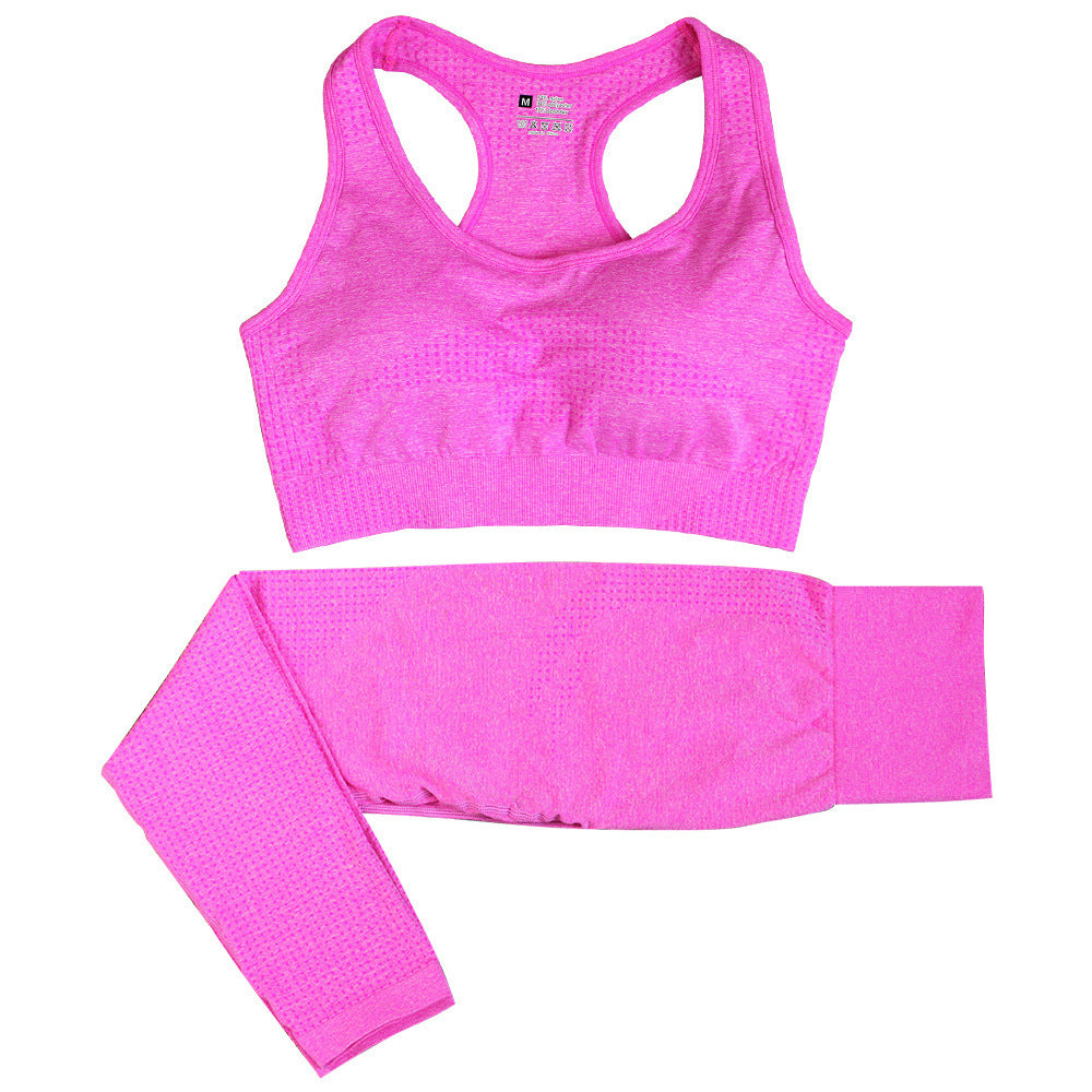 2-Piece Women's Seamless Yoga & Gym Set