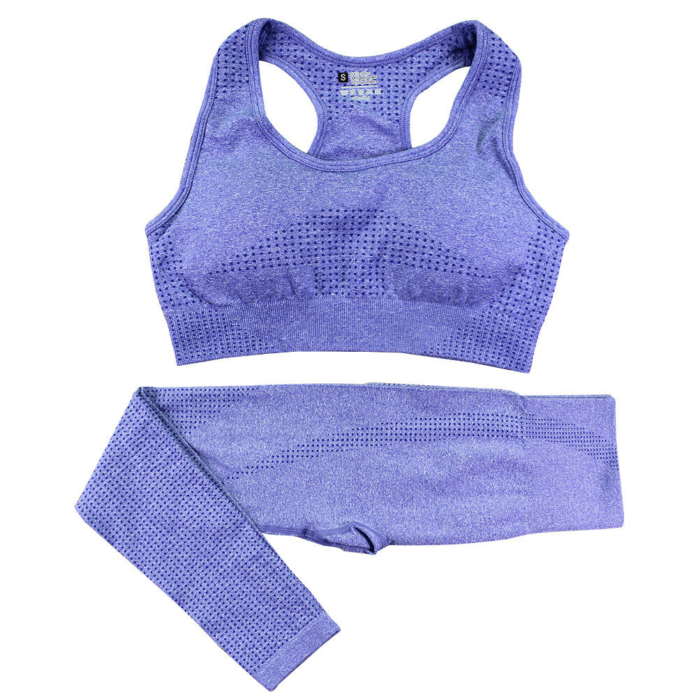2-Piece Women's Seamless Yoga & Gym Set
