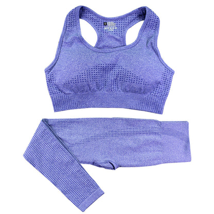 2-Piece Women's Seamless Yoga & Gym Set