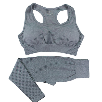 2-Piece Women's Seamless Yoga & Gym Set